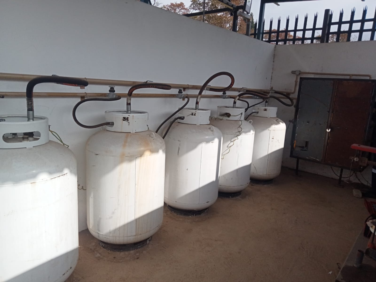 WhatsApp Image 2025-06-06 at 19.50.00