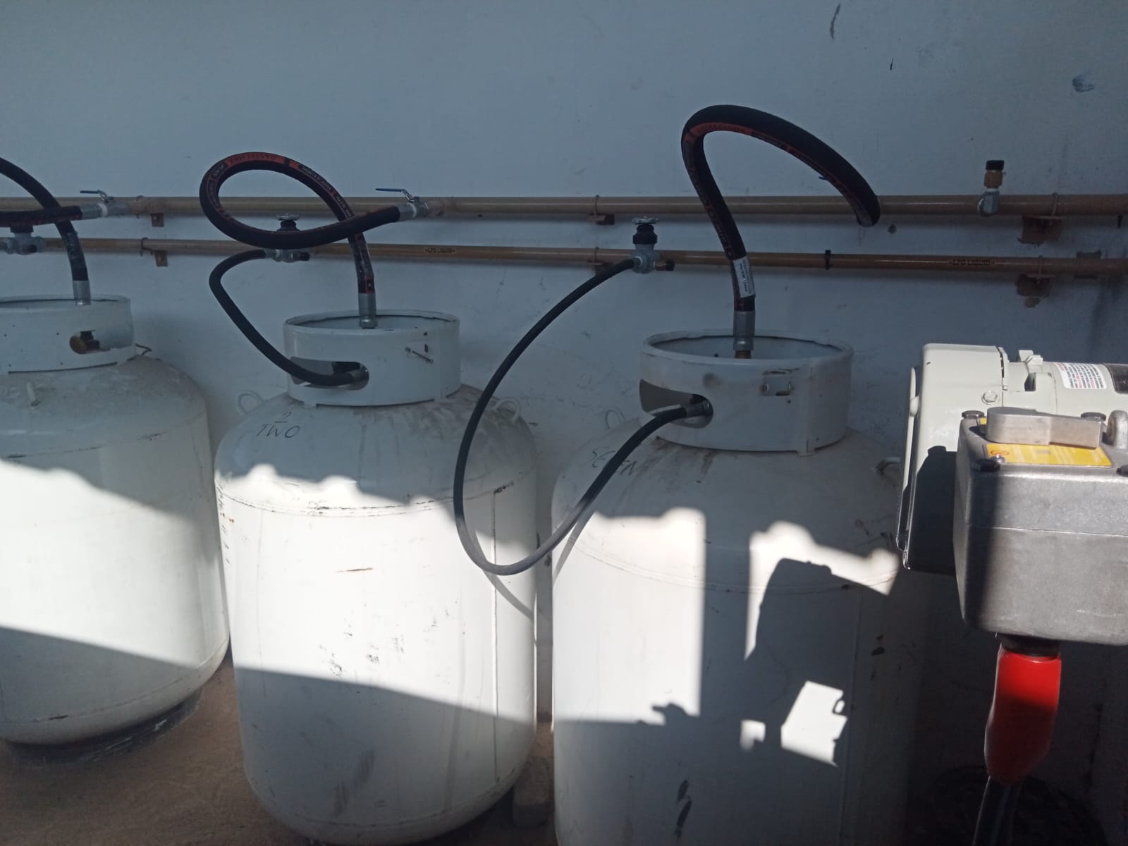 WhatsApp Image 2025-06-06 at 19.50.21 (2)